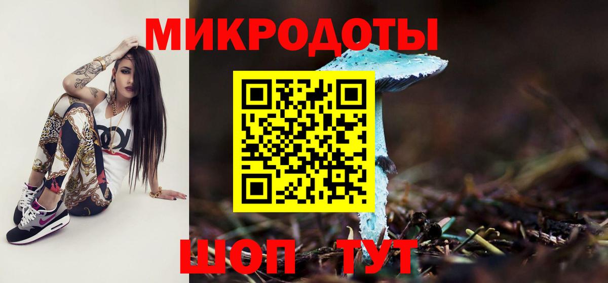 Заречный  Псилоцибиновые грибы мицелий  закладка  Вход с VPN 